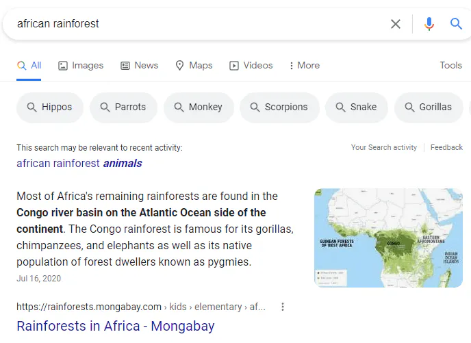 Featured snippet screenshot