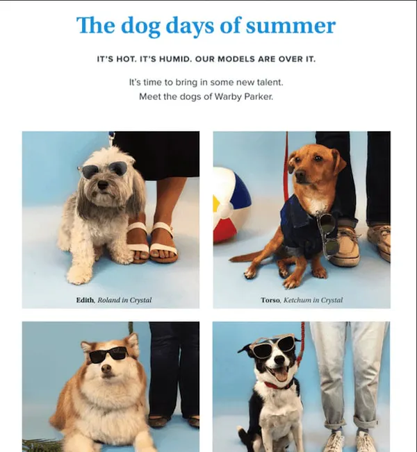 great newsletter examples-Warby Parker